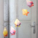 Müller: Fold & Bloom