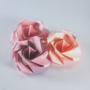 Müller: Fold & Bloom