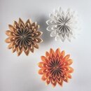 Müller: Fold & Bloom