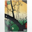 Sichtfolie A4 Kameido Umeyashiki
