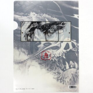 Sichtfolie A4 Drache