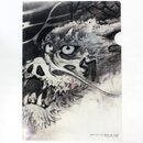 Sichtfolie A4 Drache