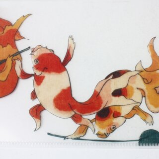 Sichtfolie A4 Katzen am Karpfenteich