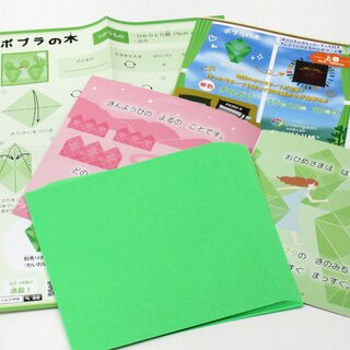 Hikaritori Origami, Transparentpapier 15 cm, hellgrün