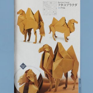 Yamaguchi: Transcendent Origami