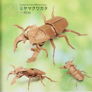 Yamaguchi: Transcendent Origami