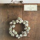 Kamihana - Papierblumen