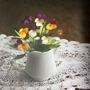 Kamihana - Papierblumen