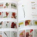 Kamihana - Papierblumen