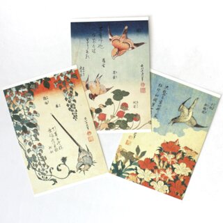 Postkartenset, 3er Set Vgel & Blumen