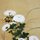 Postkartenset, 3er Set Herbst