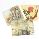 Postkartenset, 3er Set Bl�ten & Tiere