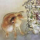 Postkartenset, 3er Set Blüten & Tiere