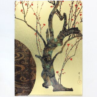 Sichtfolie A4 Rote & wei�e Pflaumenbl�te