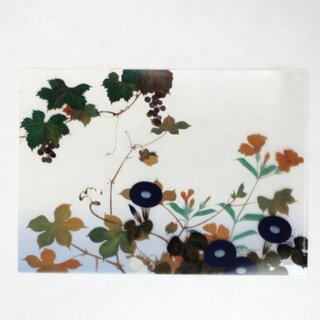 Sichtfolie Blumen & Vgel, Asagao 22 x 15,5 cm
