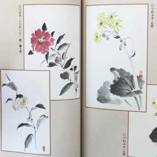 Postkarten Tuschemalerei Shiki no Hana