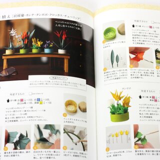 Morimoto: Origami Craft