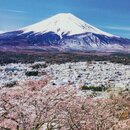 Grußkarte "Frühling am Fujisan", Doppelkarte mit Umschlag