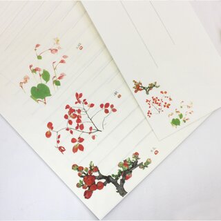 Briefpapierset Blumen & Bltter