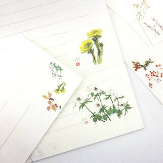 Briefpapierset Blumen & Bltter