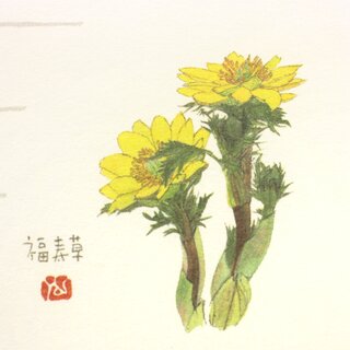 Briefpapierset Blumen & Bltter