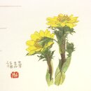 Briefpapierset Blumen & Blätter