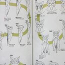 Yamaguchi: Origami Katzen & Hunde