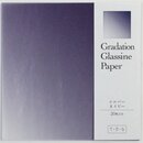 Glassine Origami Gradation  silver navy
