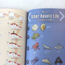 Yamaguchi: Origami Aquarium
