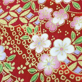 Washibogen Blten & Bltter, rot  48 cm x 64 cm
