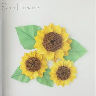 Kobayashi: Flowers Origami