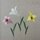 Kobayashi: Flowers Origami