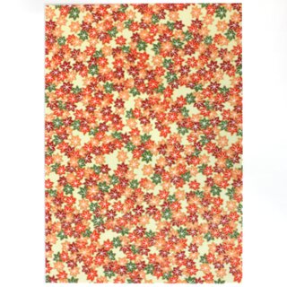 2 Blatt B4 Washi Indian Summer  360 x 255 mm