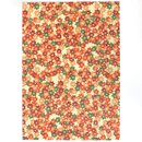 2 Blatt B4 Washi Indian Summer  360 x 255 mm