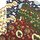 Weihnachts-Origami 15 cm 40 Blatt