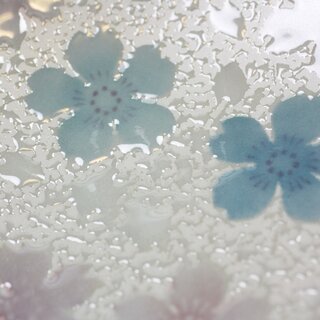 Zwei Teller Kirameki Kirschblten blau, 21,5 cm