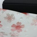 Zwei Teller Kirameki Kirschblüten rosa, 21,5 cm