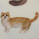 Aufkleber Katzen, 36 Stück