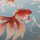 Washi Chiyogami Goldfische 15 cm