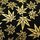 Yuzen Washi schwarz-gold 15 cm, 5 Blatt in 5 Mustern