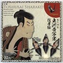 Origami Sharaku, 15 x15 cm mit Anleitung Kranich