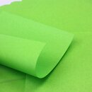 Beidseitig gleichfarbenes Origamipapier lindgrün, 15...