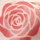 Handtuch "Rosen" 34 x 90 cm