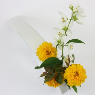 Ikebanagef Bogen wei, 30,5 x 16 cm