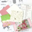 Origamiset mit Anleitung Yoshino Sakura