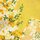 Furoshiki Mimose gelb 70 cm