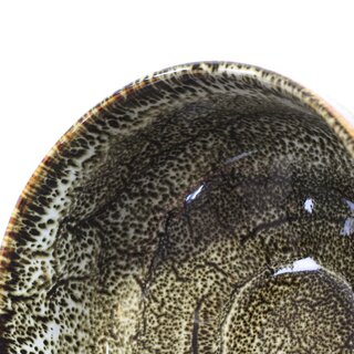 Matchaschale, Matchawan Shiro Tenmoku