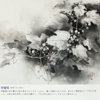 Tuschemalerei Hana no Shingihou - Technik fr Blumenmalerei