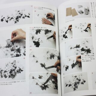 Tuschemalerei Hana no Shingihou - Technik fr Blumenmalerei