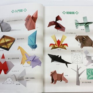 Maekawa: Genuine Origami